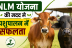 एनएलएम योजना से पशुपालन व्यवसाय कैसे शुरू करें