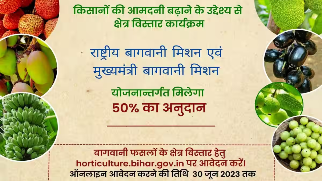 किसानों की बढ़ेगी कमाई! मेढ़ पर लगाएं फलदार पौधे, सरकार दे रही 50% तक अनुदान