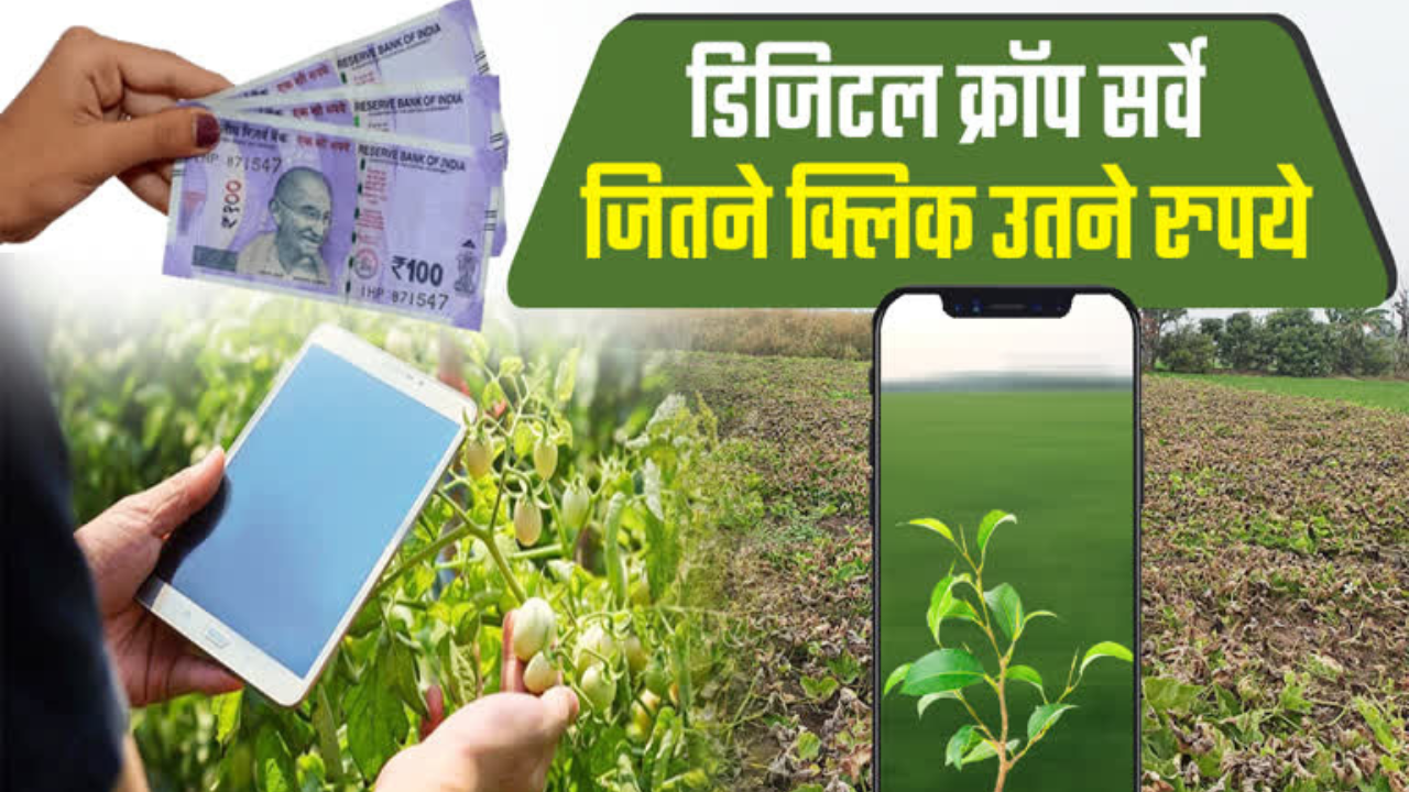 दूध उत्पादन बढ़ाने पर बड़ा फोकस! मध्यप्रदेश में 2 हजार नई दुग्ध समितियां, जानें पूरी योजना