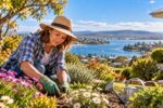 Australian gardens are heading into spring