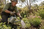 Spring heat is arriving suddenly in south-east Australia