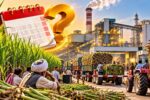 Sugar Mill Opening Date 2026