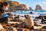 Victoria records new H5 bird flu cases in seals