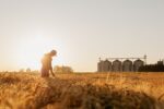Wheat prices have jumped overseas