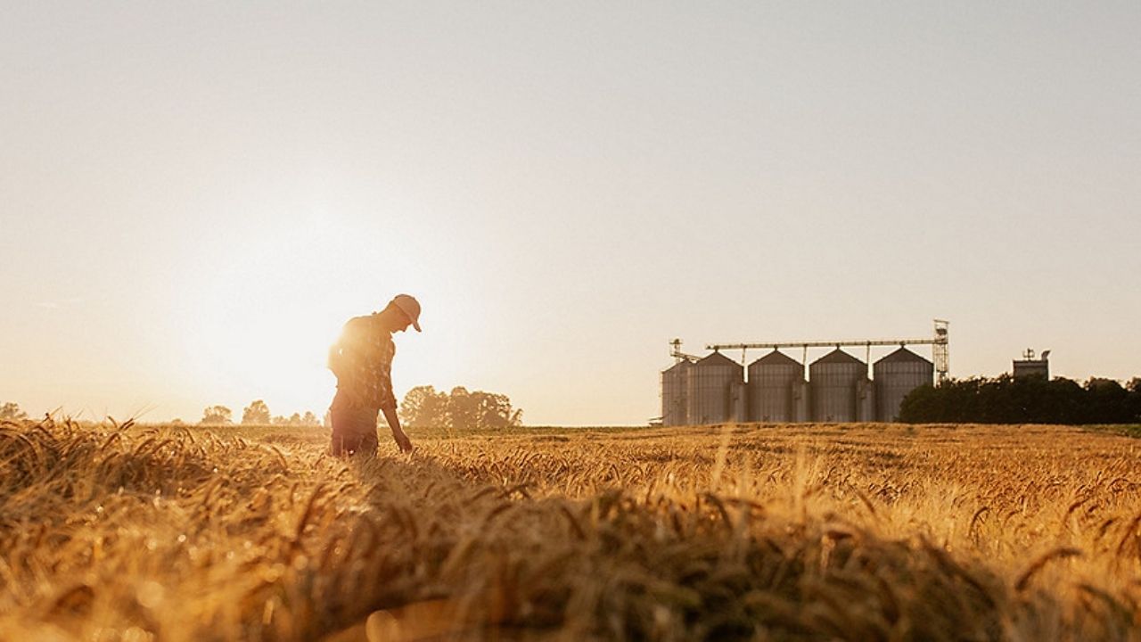 Wheat prices have jumped overseas
