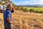 Winter crops could reach 61 million tonnes