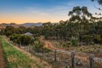 What You Might See When You Walk Beyond the Fields of an Australian Farm